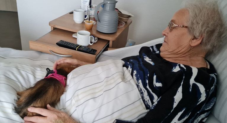 Senioren streichelt Hund im Bett