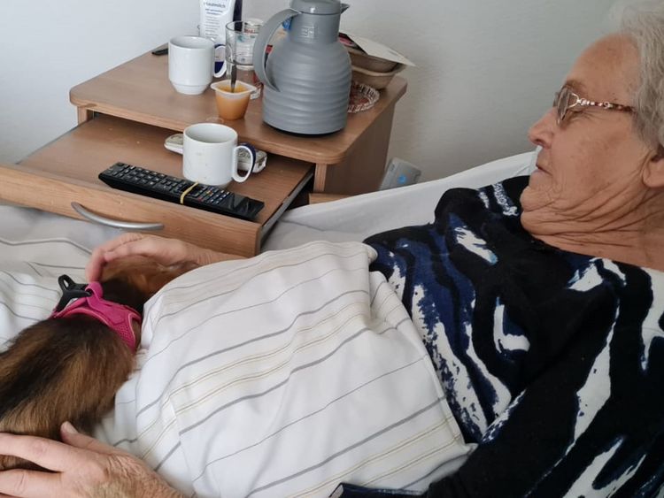 Senioren streichelt Hund im Bett