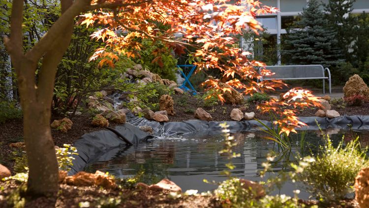 Park im Herbst bunten Bäumen und Blättern