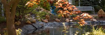 Park im Herbst bunten Bäumen und Blättern