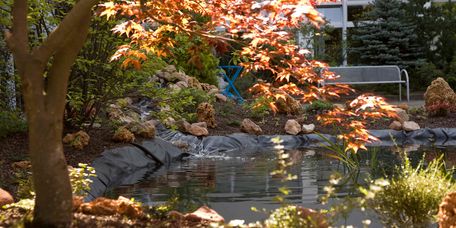 Park im Herbst bunten Bäumen und Blättern